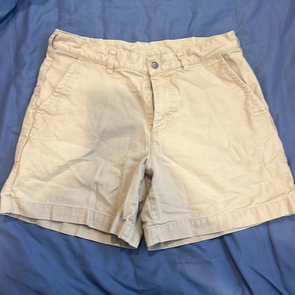 Patagonia Shorts